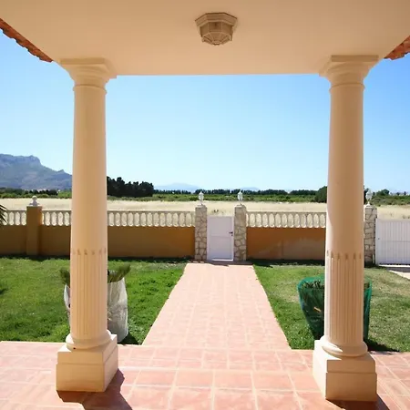 Ranas By Carlosferien Denia