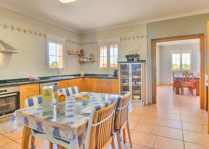 Ranas By Carlosferien Denia