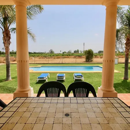 Ranas By Carlosferien *